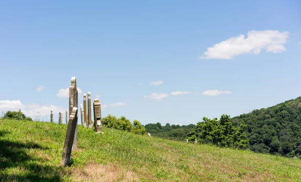 Gamla moss omfattas gravstenar på Harpers Ferry — Stockfoto