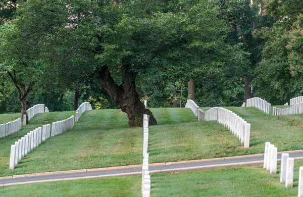 Rader av gravsten markörer på Arlington kyrkogård — Stockfoto