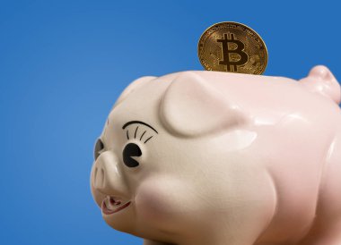 Tek bitcoin sikke kumbara içinde konuyor
