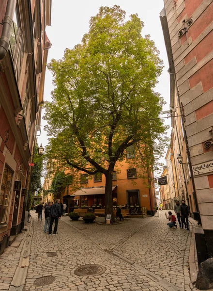 Узкая мощеная площадь в Гамла Стэн, Стокгольм — стоковое фото