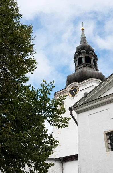 Katedrála St Marie Toompea Tallinn Estonsko — Stock fotografie