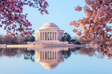 Güzel sabah erken Jefferson Memorial kiraz çiçekleri ile