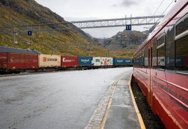Norveç'te Myrdal istasyonu platformu