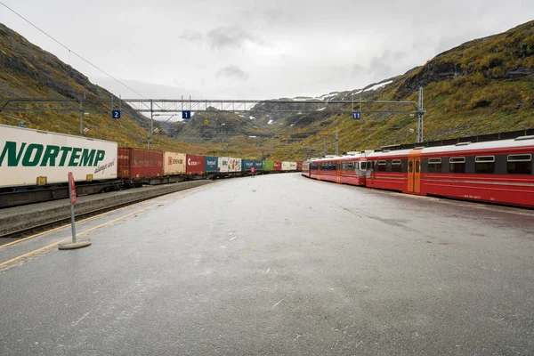 Bahnsteig am Bahnhof Myrdal in Norwegen — Stockfoto
