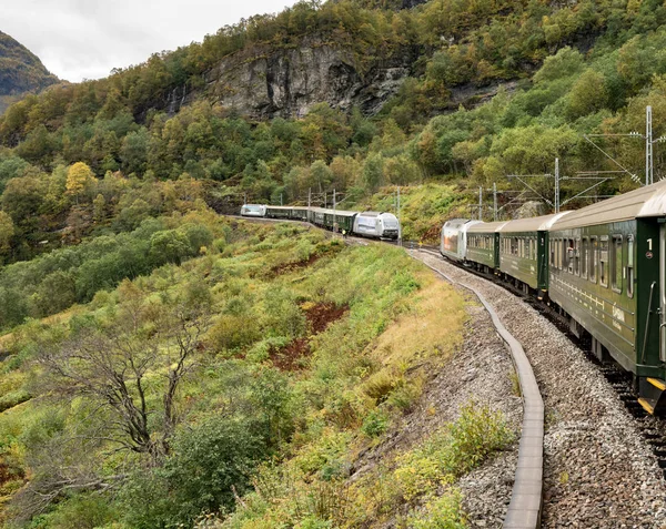 노르웨이에서 꾸며 낸 선 철도에서 풍경 — 스톡 사진