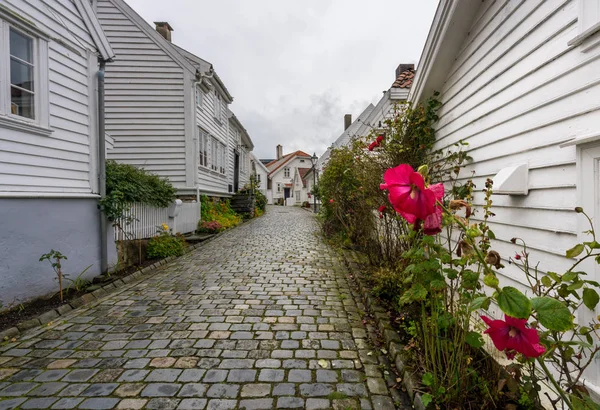 Piros virág előtt keskeny Stavanger Norvégia utca — Stock Fotó