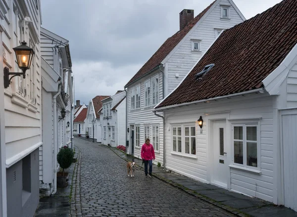 Nő és kutya a keskeny macskaköves utcában, Stavanger, Norvégia — Stock Fotó