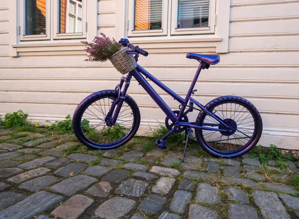 Bicicletta viola in strada a Bergen Norvegia — Foto Stock