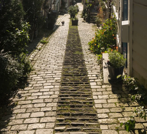 Cobblestone street à Bergen Norvège — Photo