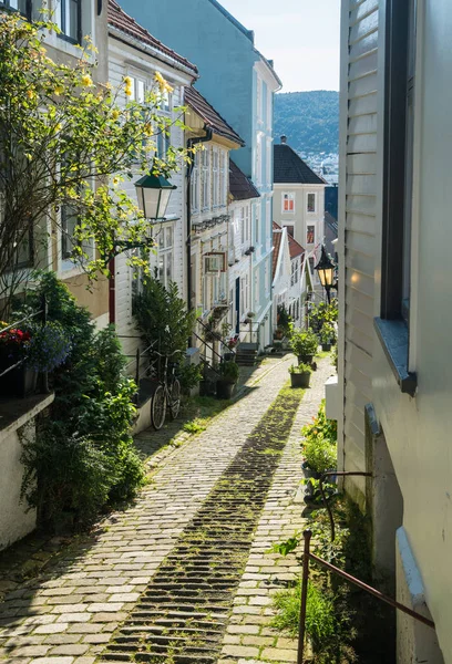 Calle Cobblestone en Bergen Noruega — Foto de Stock