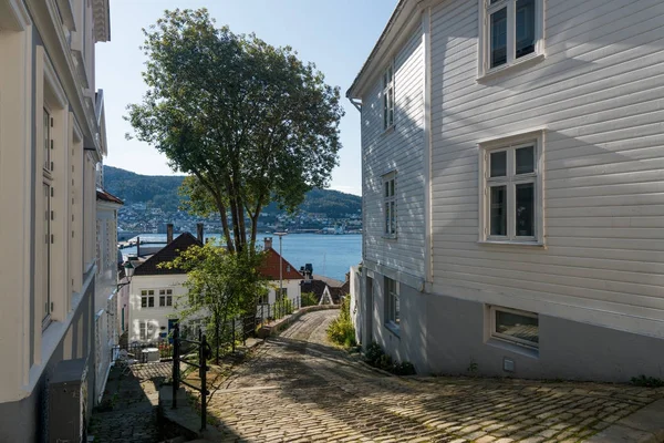 Geplaveide straat in Bergen Noorwegen — Stockfoto