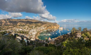 Avalon Catalina Island Casino