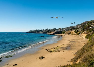 Laguna Beach California, kıyı şeridi görünümü