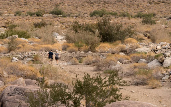 Hikers near Borrego Springs in California desert — Stock Photo, Image