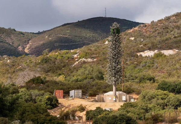 Мобильная телебашня в Калифорнии, замаскированная под елку — стоковое фото
