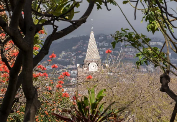Clock tower katedrális Funchal Madiera — Stock Fotó