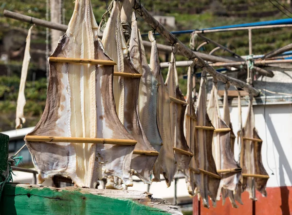 Kat vis of kabeljauw vis drogen in Camara de Lobos, Madiera — Stockfoto