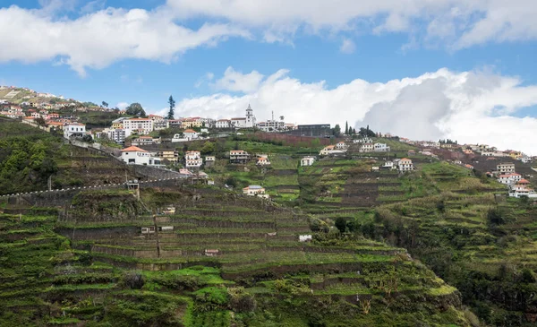 Campi terrazzati ripidi vicino a Funchal a Madiera — Foto Stock