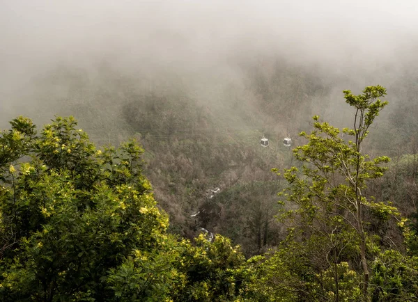 Teleférico de Monte a Jardins Botânicos em Madiera — Fotografia de Stock