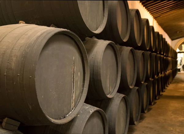 Γραμμή του στοιβάζονται βαρέλια κρασιού ξύλινα για sherry γήρανση — Φωτογραφία Αρχείου