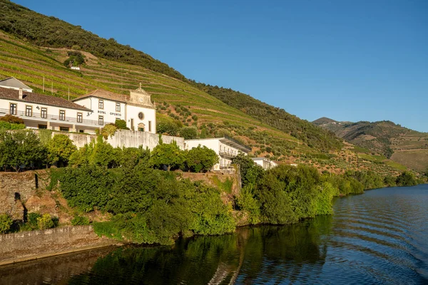 Royal Oporto Quinta eller vingård vid floden Douros strand i Portugal — Stockfoto