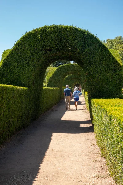 Box heggen in de tuinen van het Mateus Paleis in Noord Portugal — Stockfoto