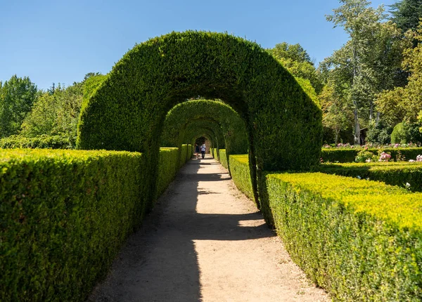 Box hedges in the gardens of Mateus Palace in northern Portugal — Stock Photo, Image