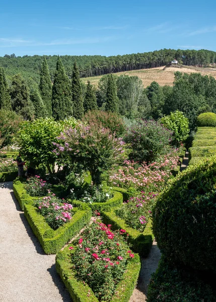 Buchsbaumhecken im Garten des Mateus-Palastes in Nordportugal — Stockfoto