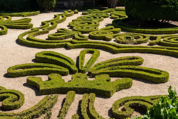 Krabicové živé ploty v zahradách paláce Mateus v severním Portugalsku — Stock fotografie