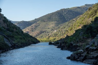 Douro nehrinin kıyısındaki teraslı üzüm bağları dar geçide giriyor.