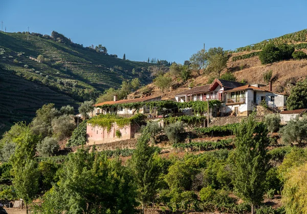 Old Quinta or vineyard on the banks of the Douro river in Portugal — Stockfoto