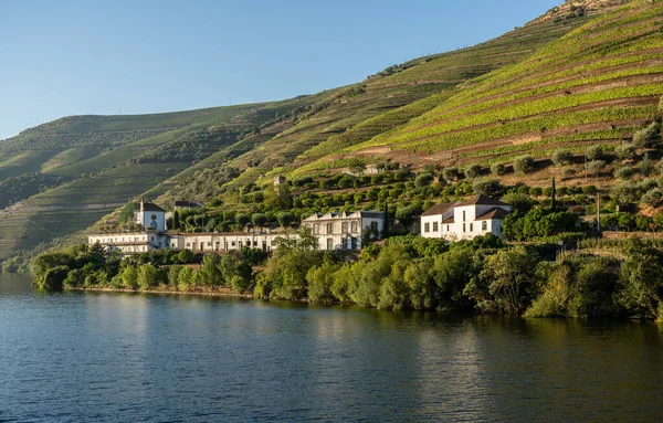 Stará Quinta nebo vinice na březích řeky Douro v Portugalsku — Stock fotografie
