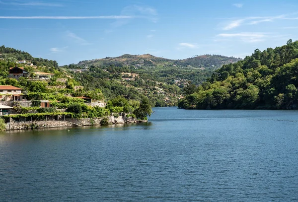 Moderní vinice sestupuje na břeh řeky Douro — Stock fotografie