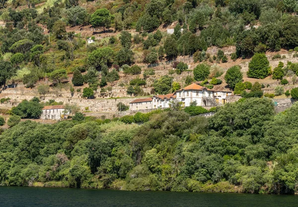 Oude Quinta of wijngaard aan de oevers van de rivier de Douro in Portugal — Stockfoto