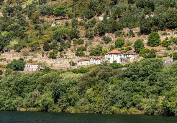 Régi Quinta vagy szőlőültetvény a Douro folyó partján Portugáliában — Stock Fotó