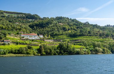 Portekiz 'deki Douro nehrinin kıyısındaki Old Quinta veya Vineyard