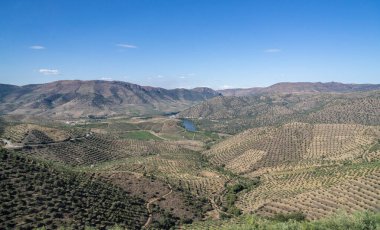 Miradouro Alto da Sapinha 'dan Portekiz' deki Barca de Alva ve Douro 'ya doğru görüntü