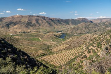 Miradouro Alto da Sapinha 'dan Portekiz' deki Barca de Alva ve Douro 'ya doğru görüntü