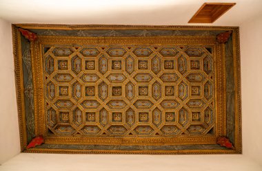 Casa de la Conchas ve onun süslü ahşap tavanı Salamanca İspanya 'da