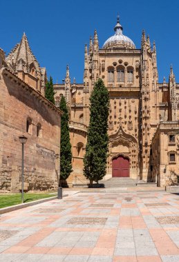 Salamanca 'daki Yeni Katedral' de süslü bir kubbe