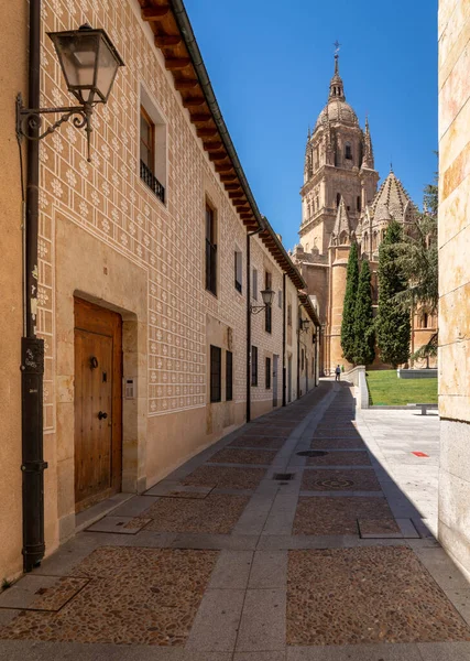 Utsmyckat klocktorn på den gamla katedralen i Salamanca — Stockfoto