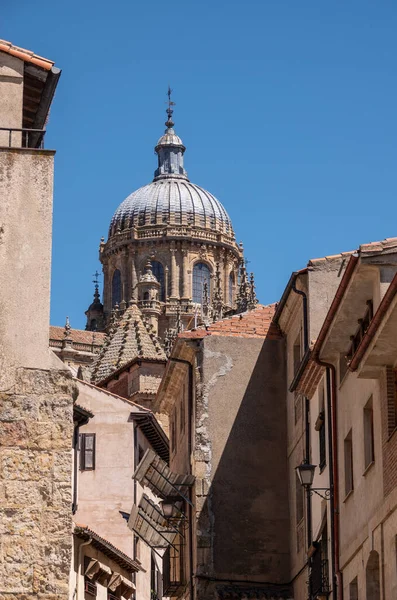 Ornata kupola az új katedrális Salamanca — Stock Fotó