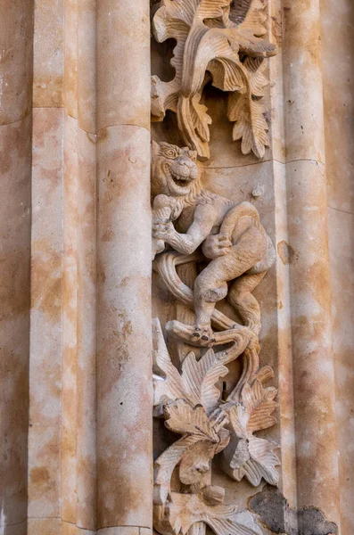 Humorous carving of lion with ice cream at the entrance to the new Cathedral in Salamanca — Stock Photo, Image