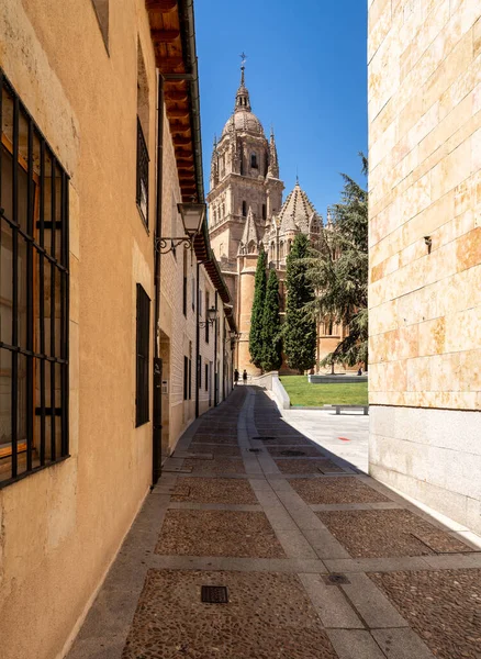 Utsmyckat klocktorn på den gamla katedralen i Salamanca — Stockfoto