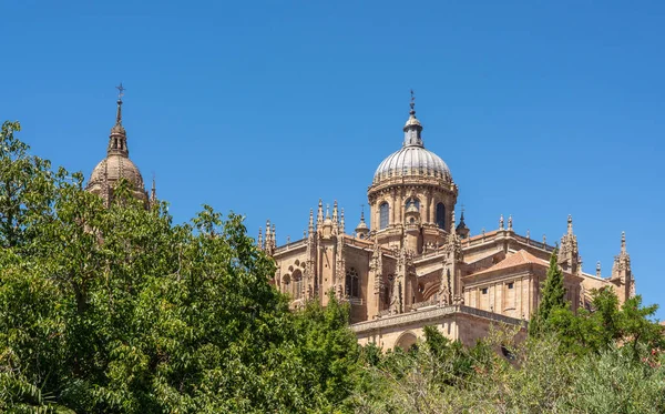 Dôme orné sur la nouvelle cathédrale de Salamanque — Photo