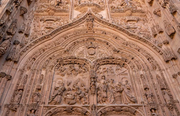 Zdobené řezby u vchodu do staré katedrály v Salamance — Stock fotografie