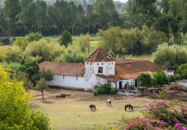 Old Portuguese riding stable with horse grazing the meadow — Stock Photo, Image