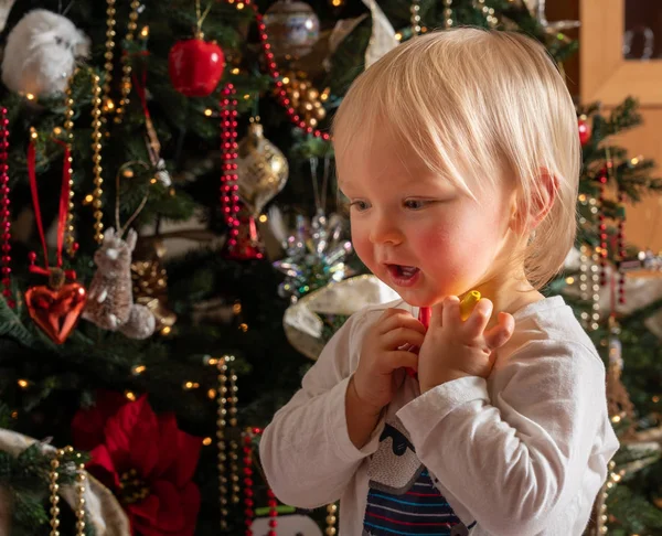 Jeune enfant regardant leur premier sapin de Noël dans l'émerveillement et l'étonnement — Photo
