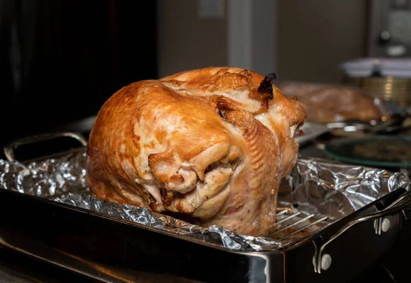 Sous vide turkey crown after roasting in the oven — Stock Photo, Image