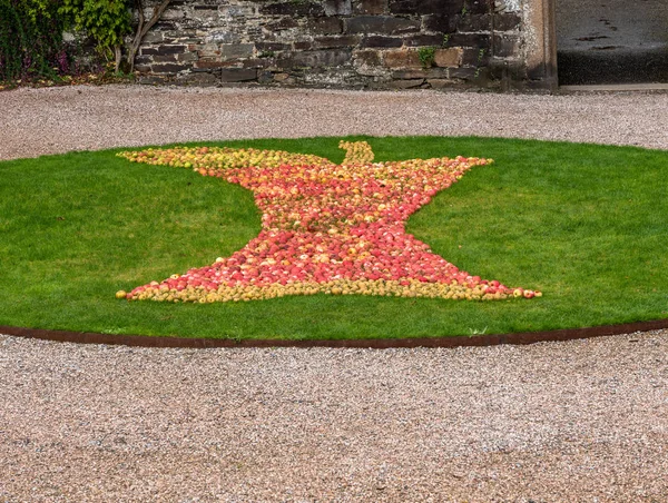 Half eaten apple shape on grass formed from harvest of fruit — ストック写真